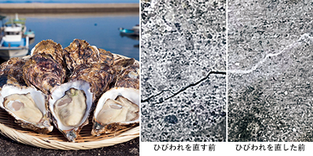 活動の様子