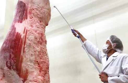 枝肉を高圧洗浄機で殺菌する様子