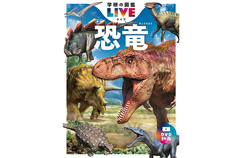 博物館や学校での講演や本の執筆の様子