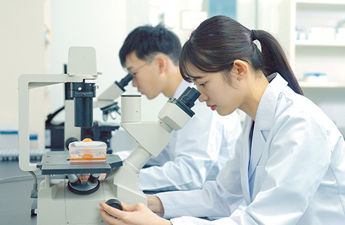実験の様子